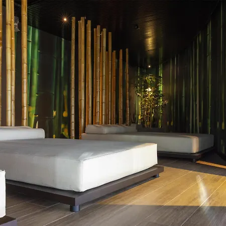 酒店 Radisson Blu Hotel, Choruslife 贝尔加莫